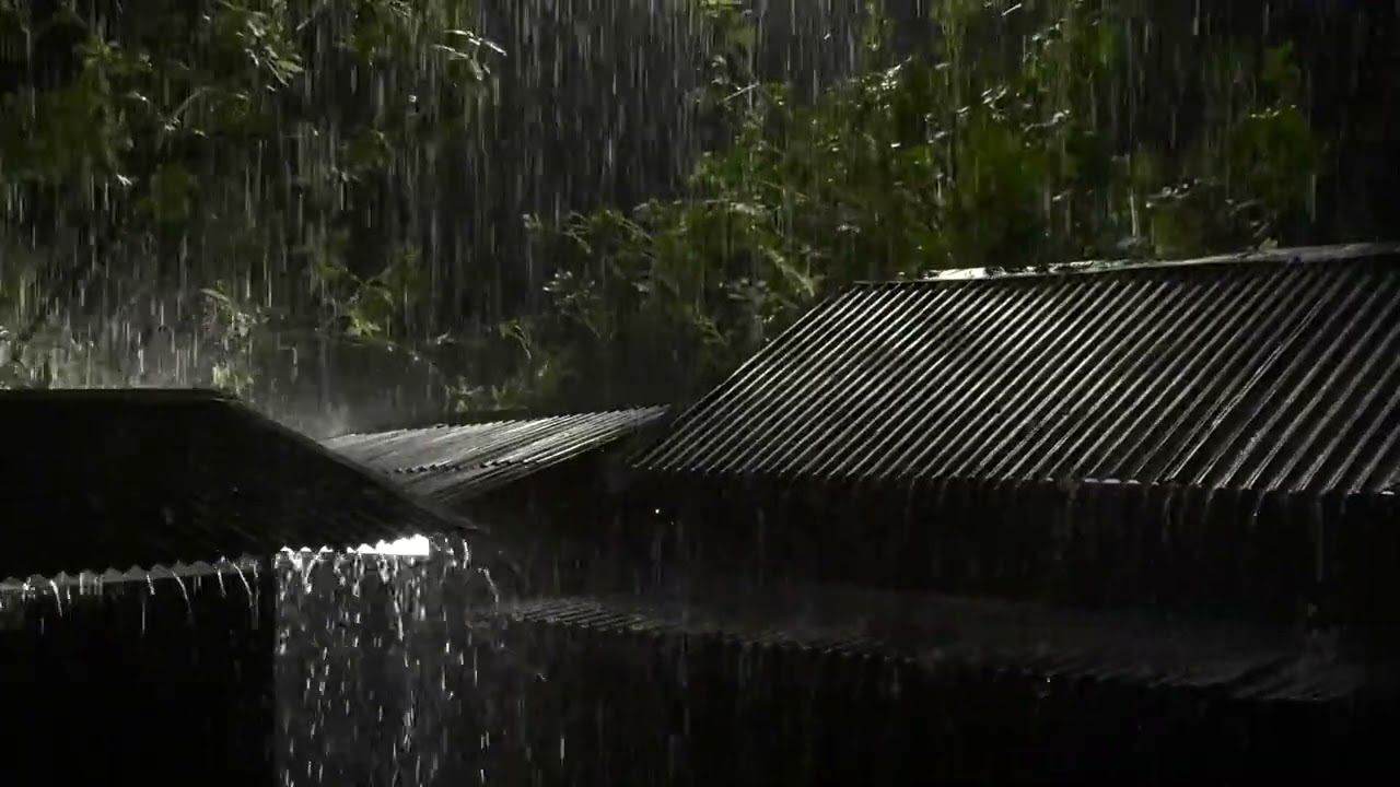 No Ads Rain Sounds for Sleeping - ASMR Loud Rain On Tin Roof for Deep Night Sleep & Calm Anxiety