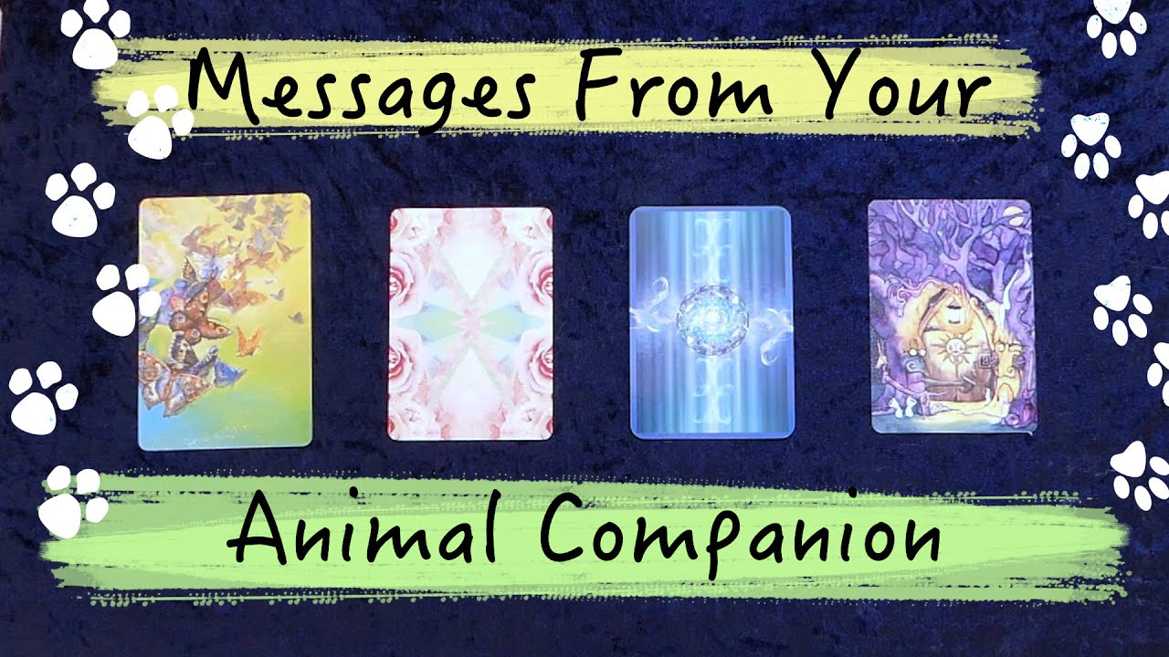 🔮Сообщения от вашего питомца ~ Как ваш питомец помогает вам? Гадание на картах