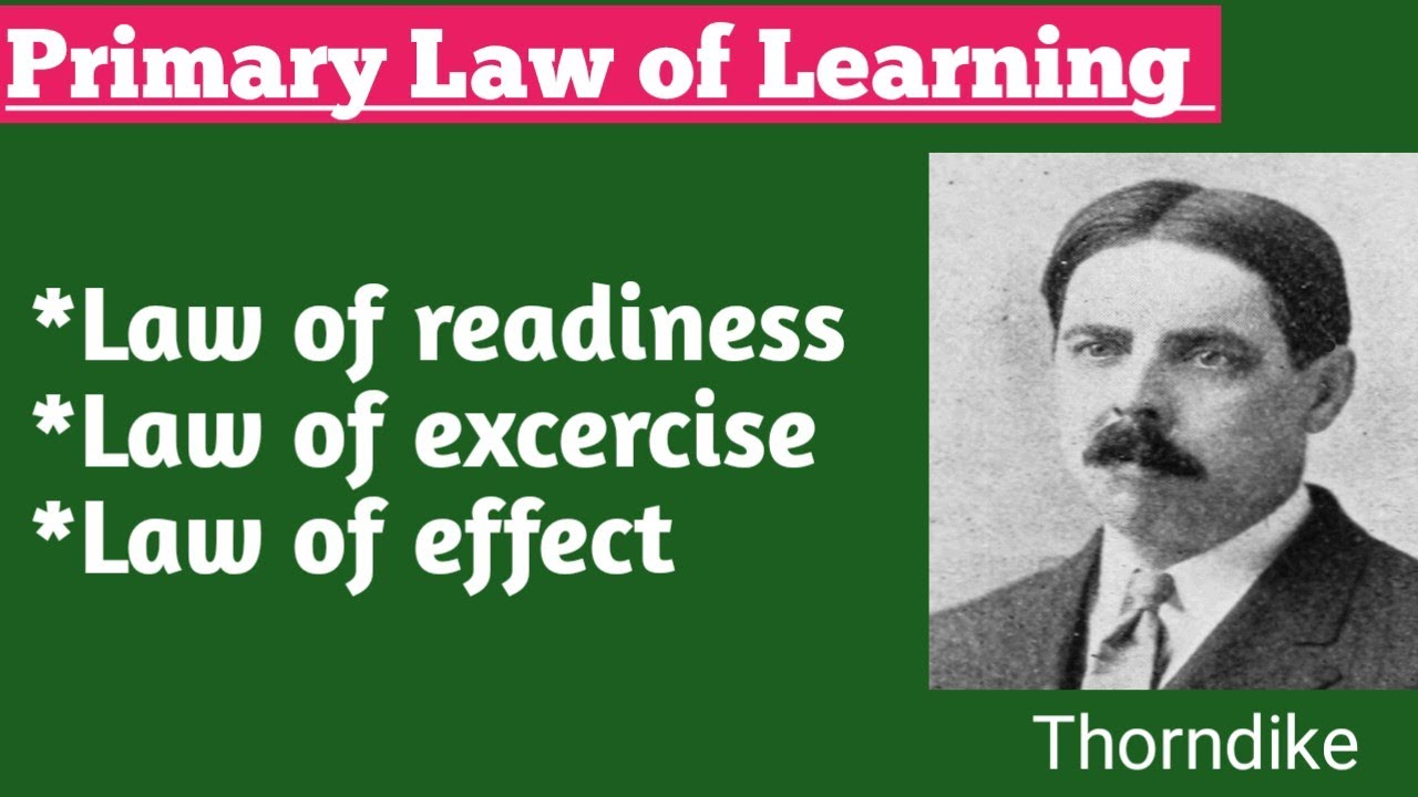 3 laws of Thorndike's theory/law of learning|hindi|urdu?#learning