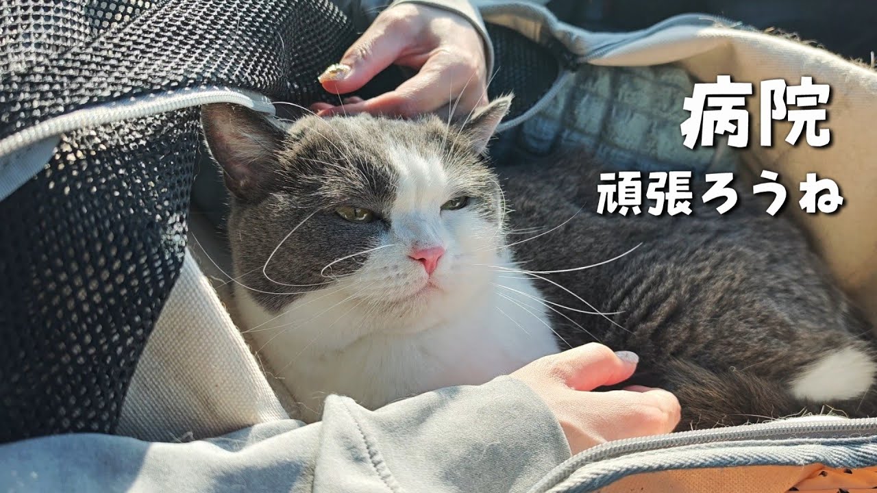 体調不良から1週間。かかりつけの病院で診ていただきました