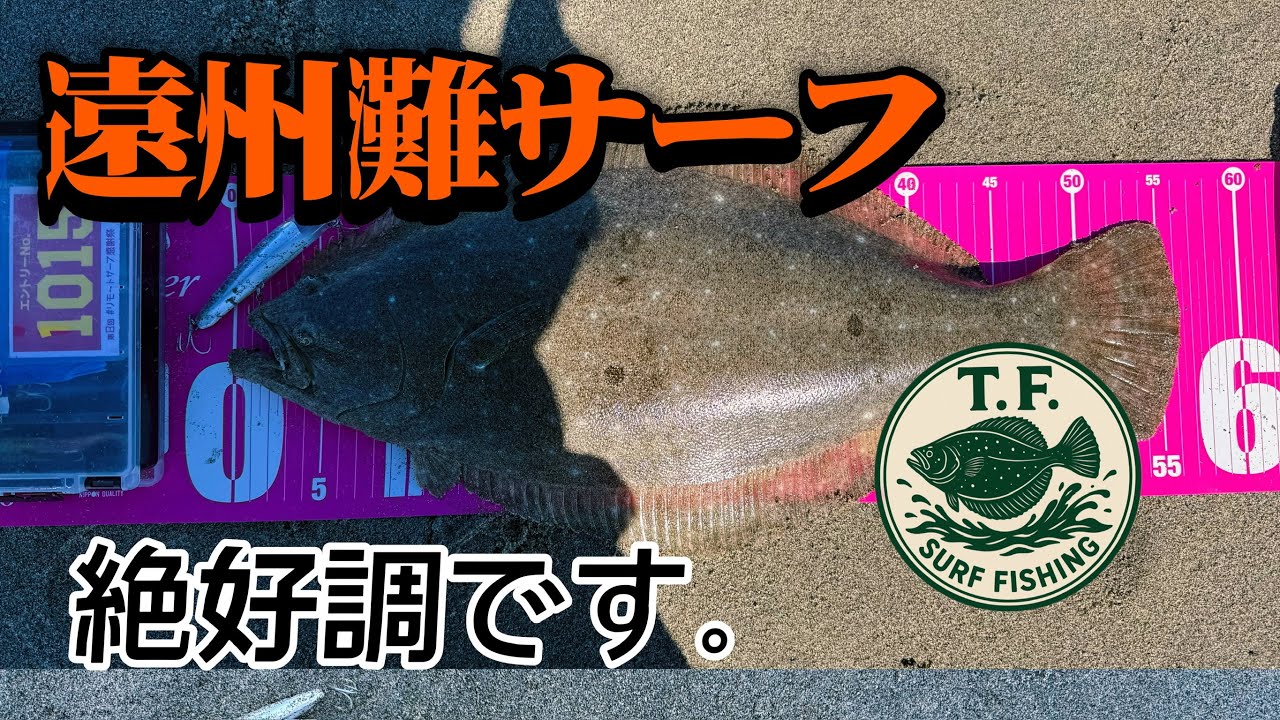絶好調な遠州灘サーフ。ヒラメミノーSR130Fが炸裂した日。