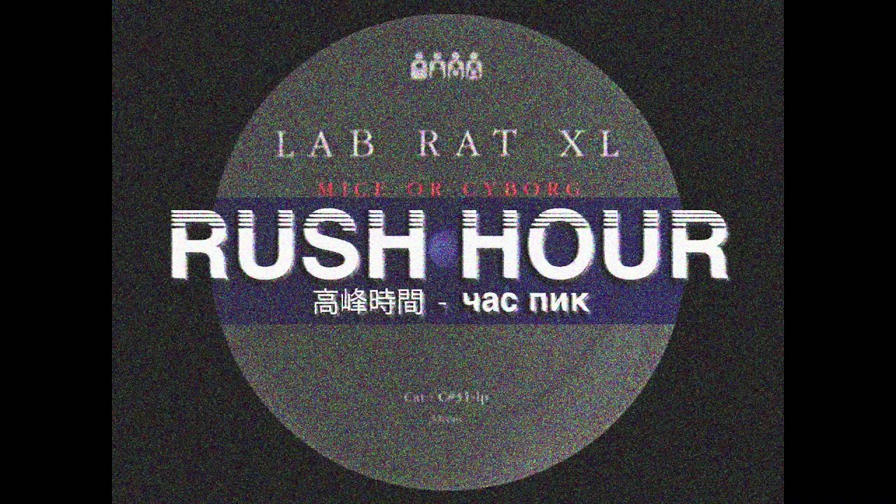 Lab Rat XL - Lab Rat 3