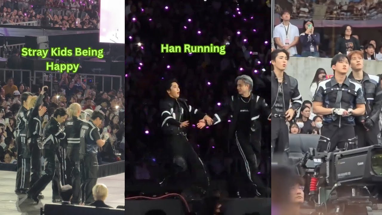AAA 2025 ! Stray Kids Reaction & Moments Asia Artist Awards 2025