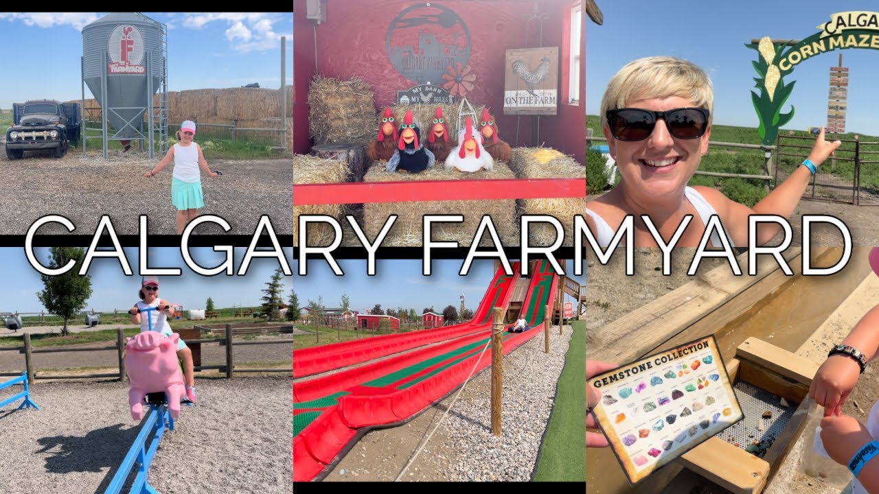 A SUMMER TRIP TO CALGARY FARMYARD!