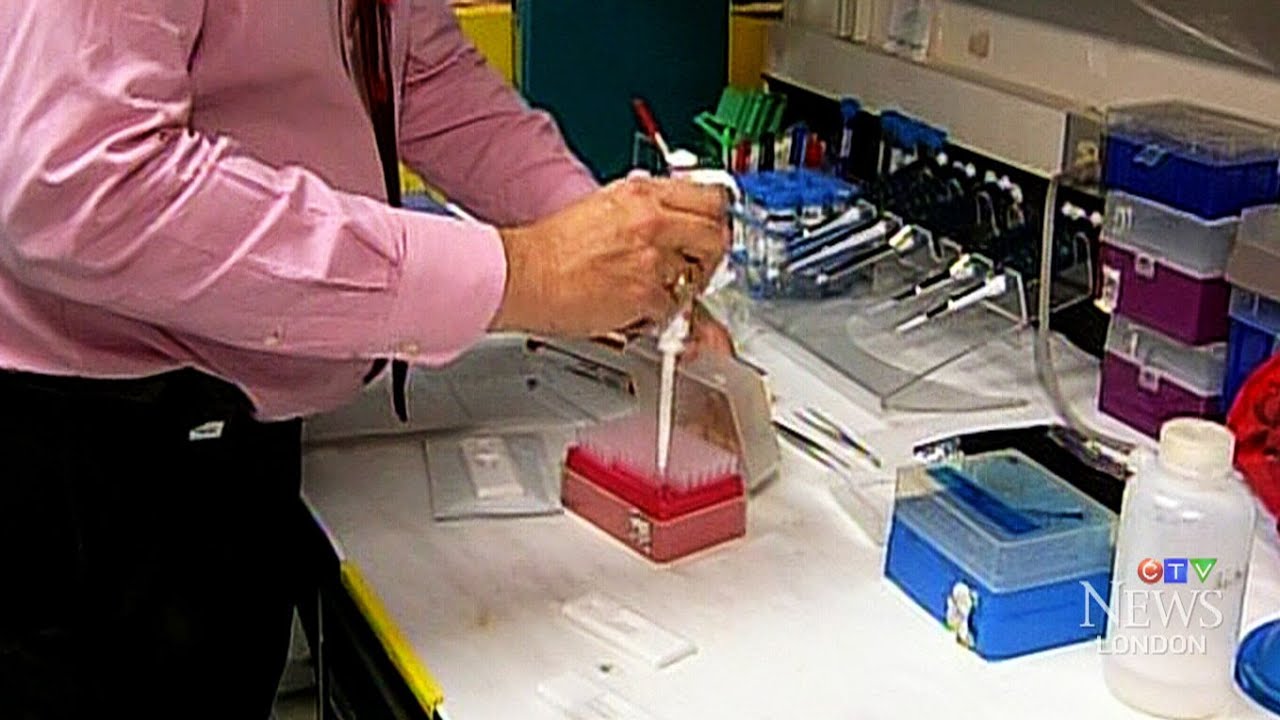 New rapid-test for E. coli deemed 'food safety game changer'