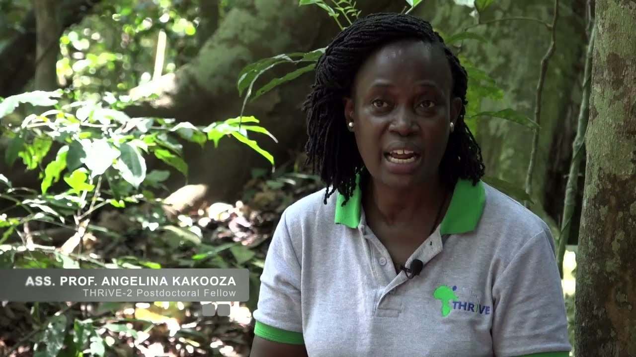 Connecting the dots between Zika Forest and the Zika Virus