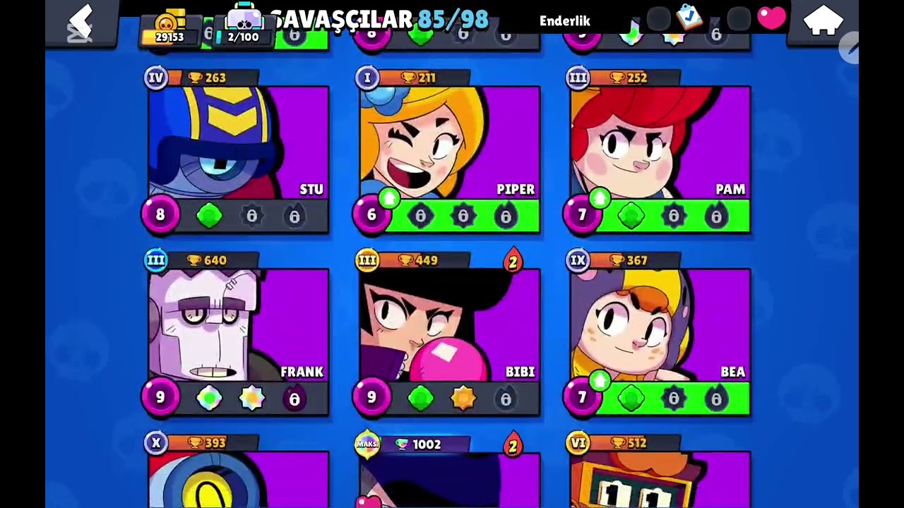 Bs videosu 