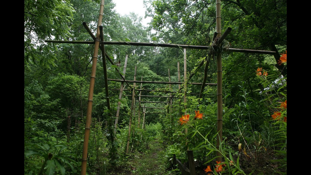 Mountain Gardens Podcast Episode 1