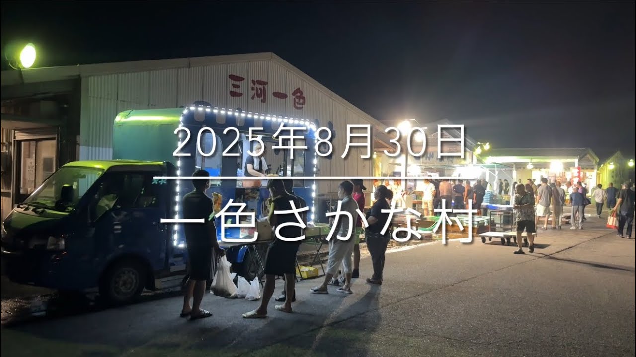 【驚愕】200円⁉︎..過去最安値の奇跡‼︎『一色さかな村』朝4時‼︎激混み朝市