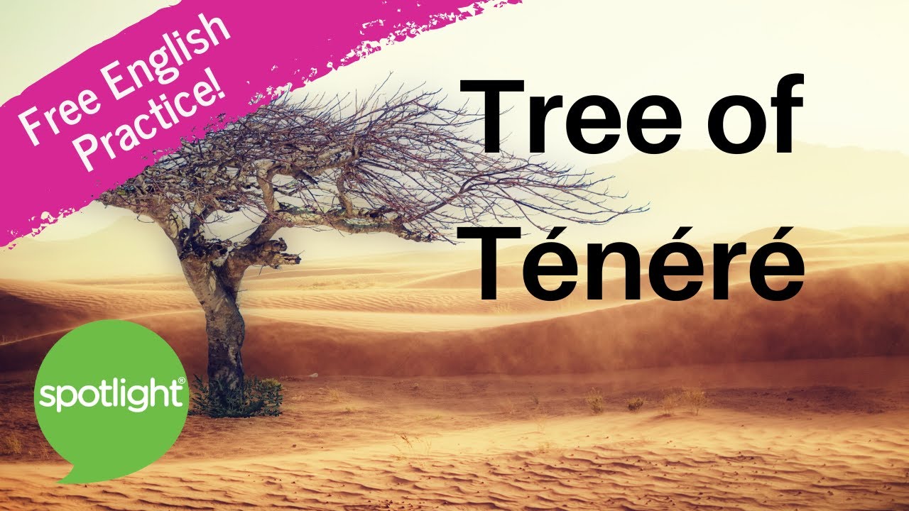 Tree of Ténéré | practice English with Spotlight