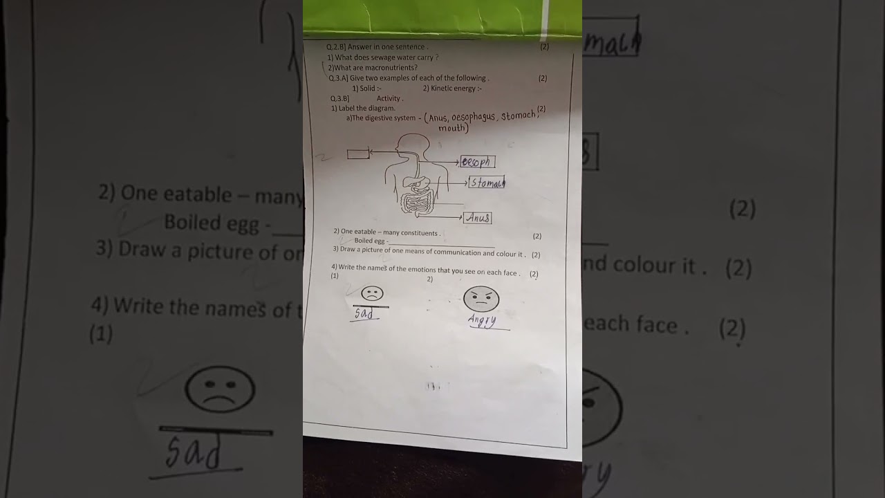 std 5. EVs question paper of Annual exam of Maharashtra board