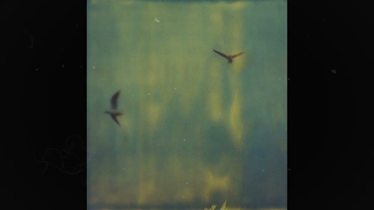 (free) indie pop x dream pop - 