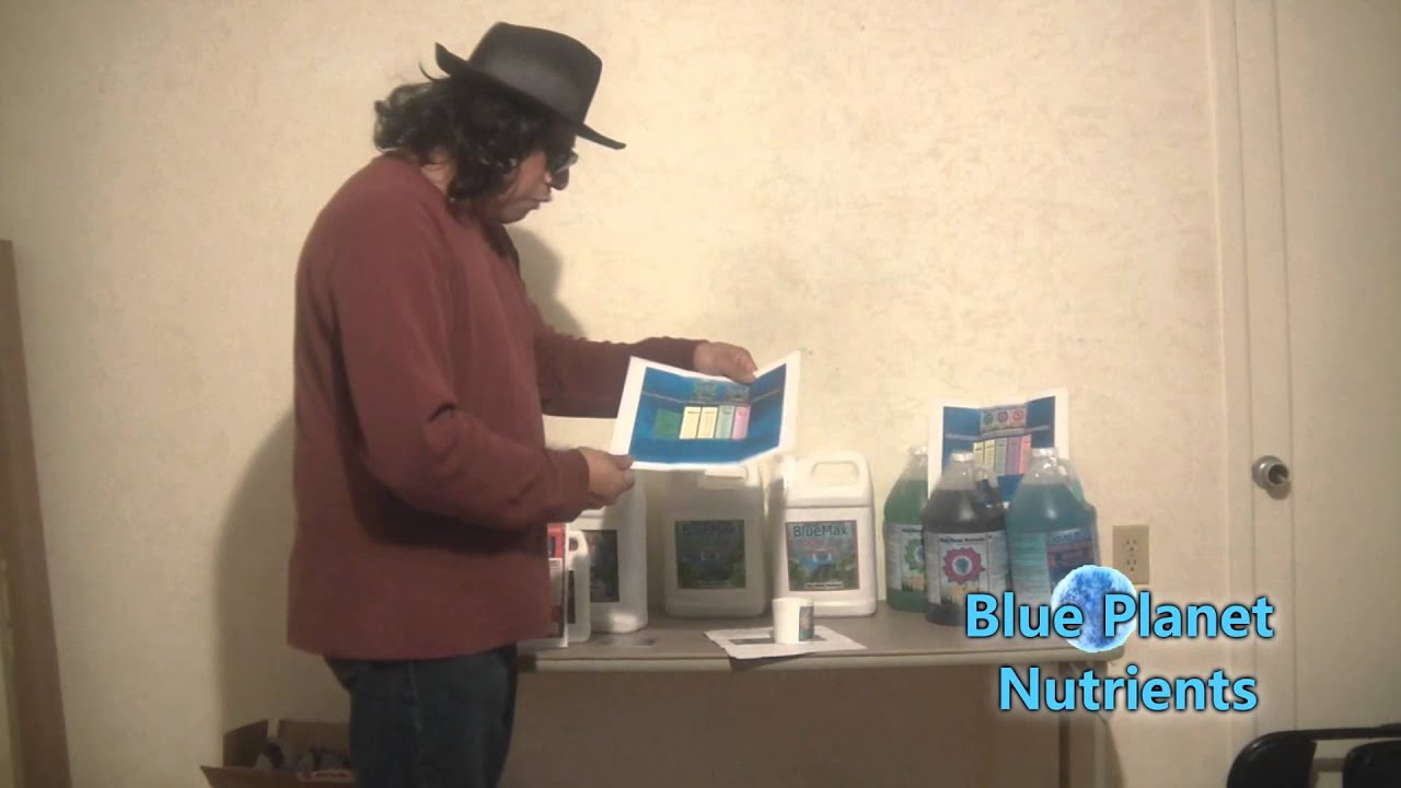 Mr Blue Goo  with 