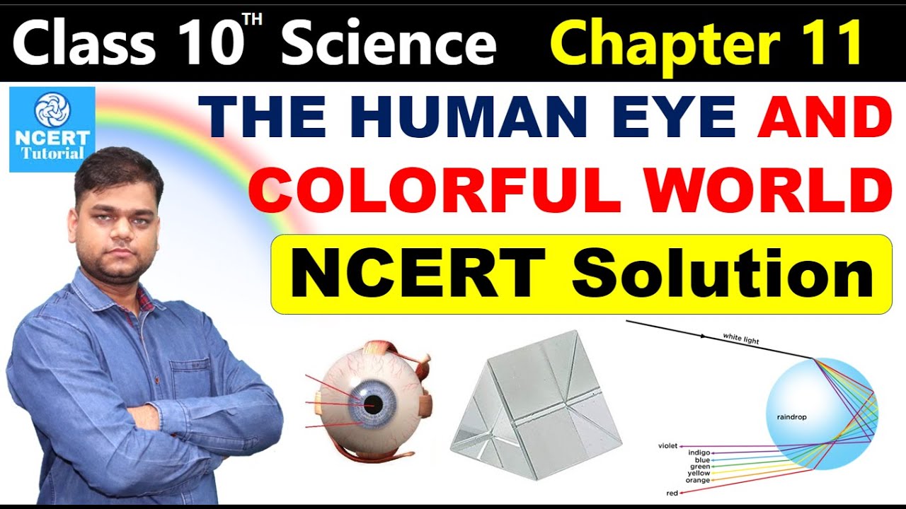 Human Eye and The Colorful World - Ncert Solution | Class 10 Science chapter 11