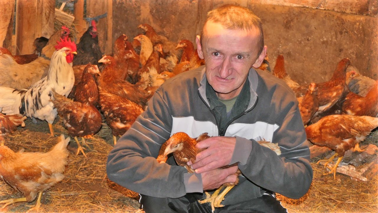 Stižu koke sa svih strana svijeta, ovo niko nije očekivao