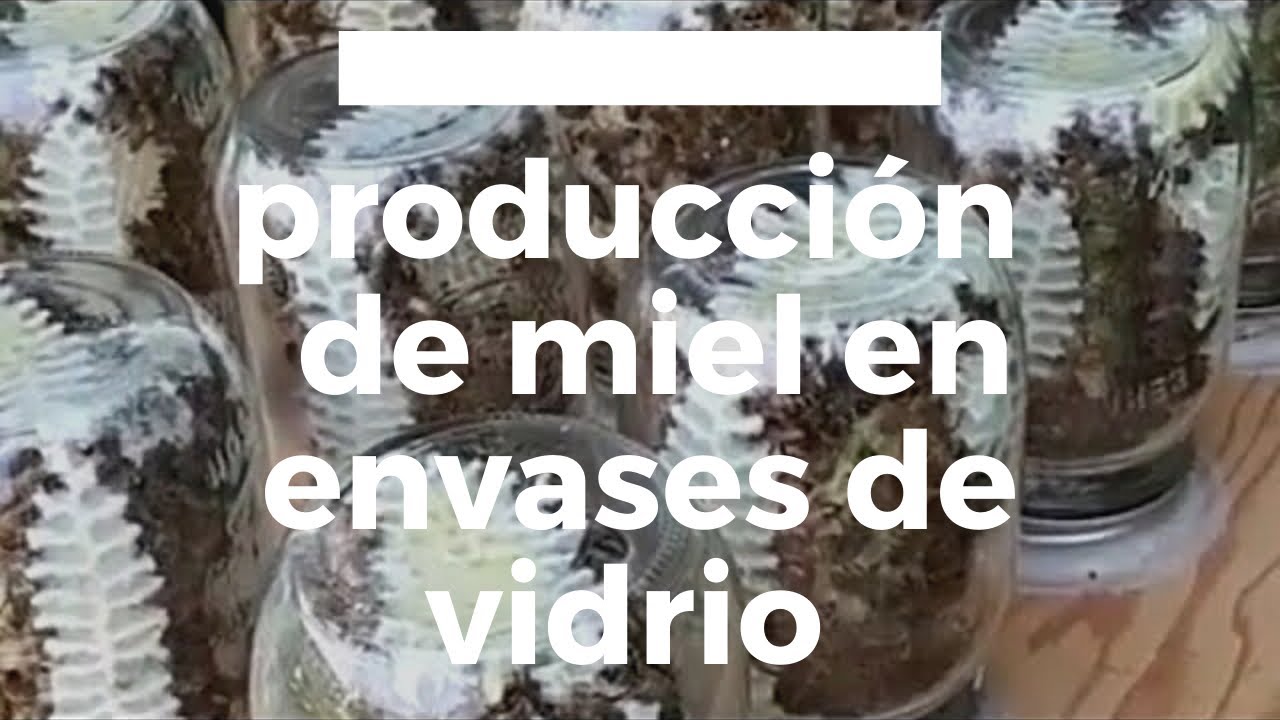 apicultura en envases de vidrio