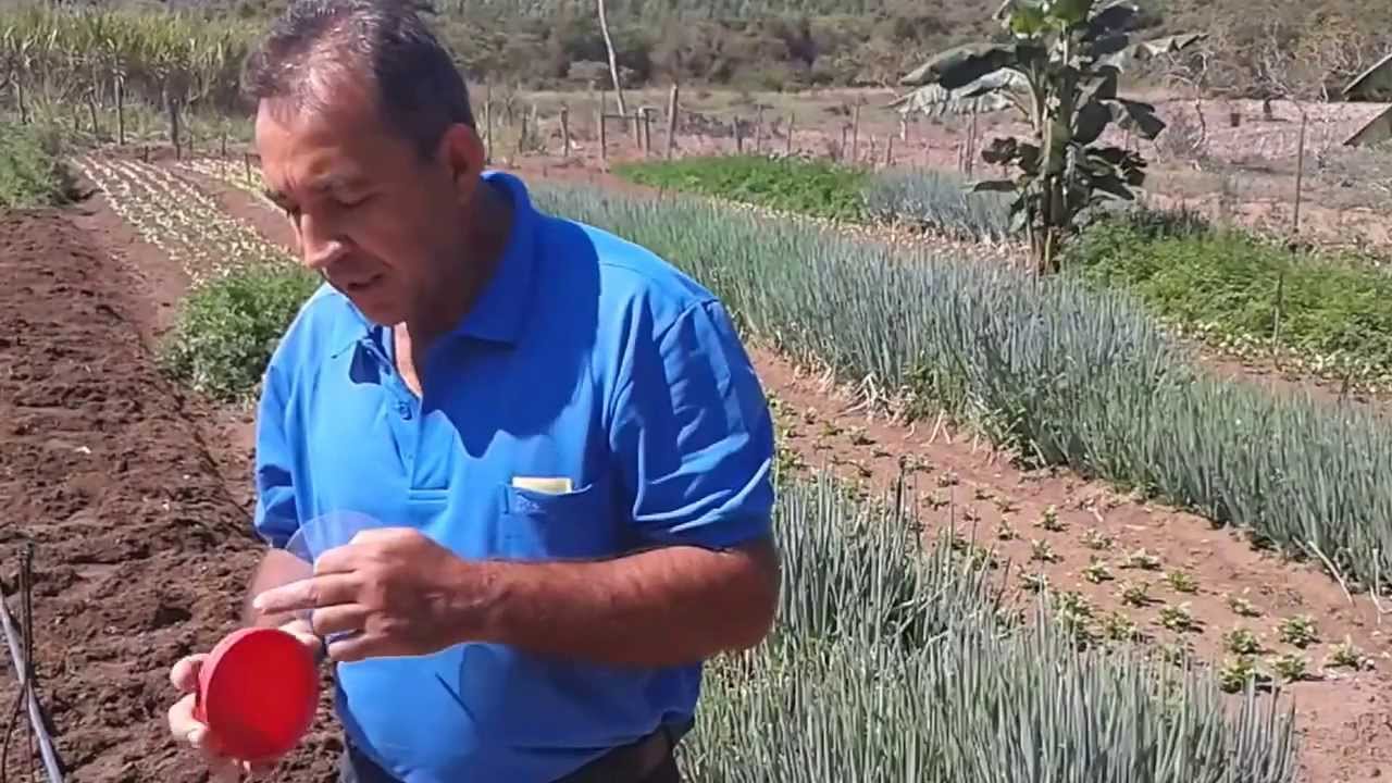 Construindo um autêntico Semeador de Cenoura Caseiro Manual - EMATER - Perdigão - MG