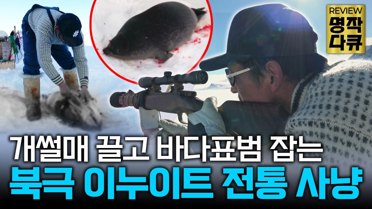 이누이트 사냥꾼들의 바다표범 사냥! 영원한 겨울의 땅 북극에서 벌어지는 생존 다큐 [리뷰 명품 다큐] / YTN 교양있게