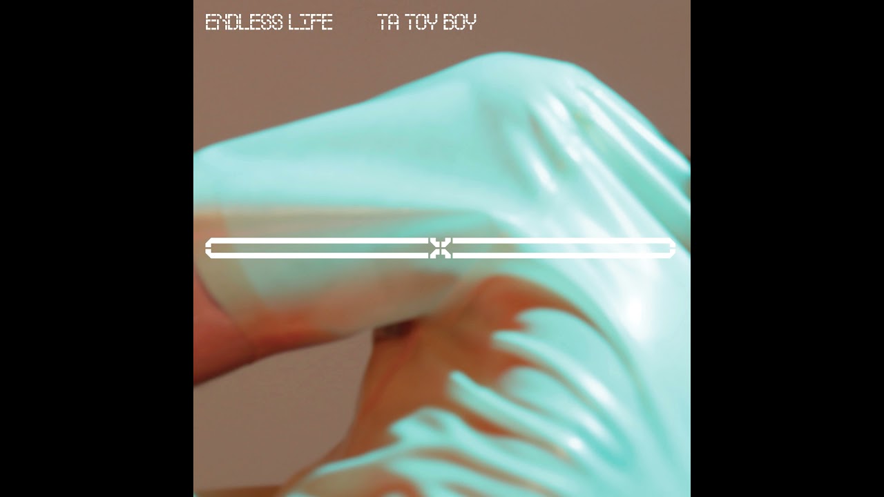 Ta Toy Boy - New Day Same Life