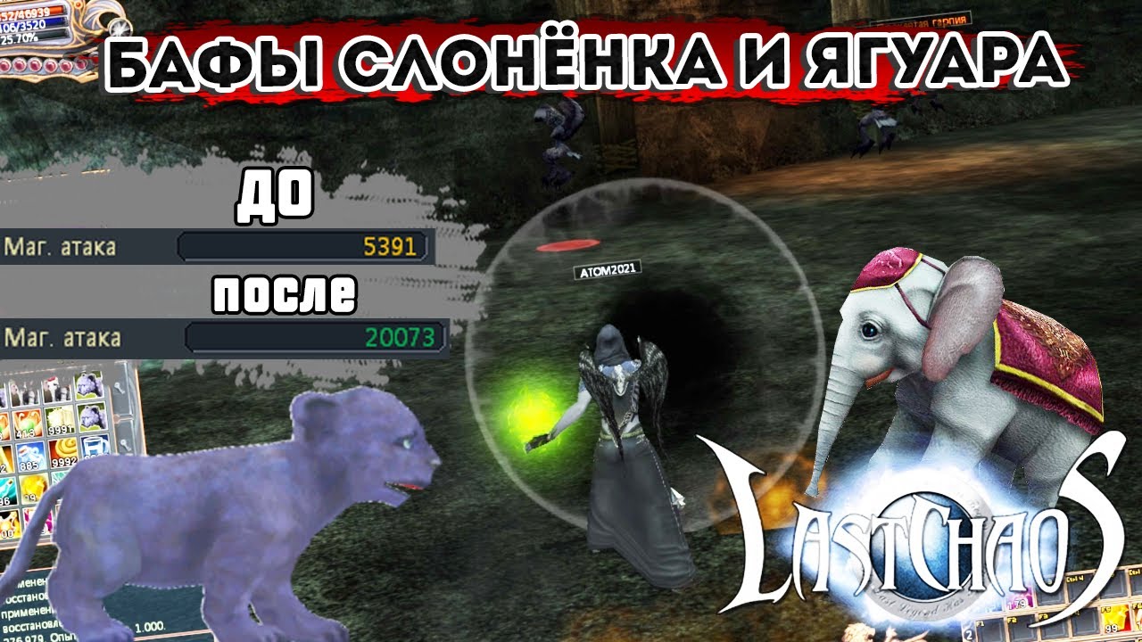 ГАЙД ПО БАФАМ СЛОНЁНКА И ЯГУАРА / Last Chaos Gamigo