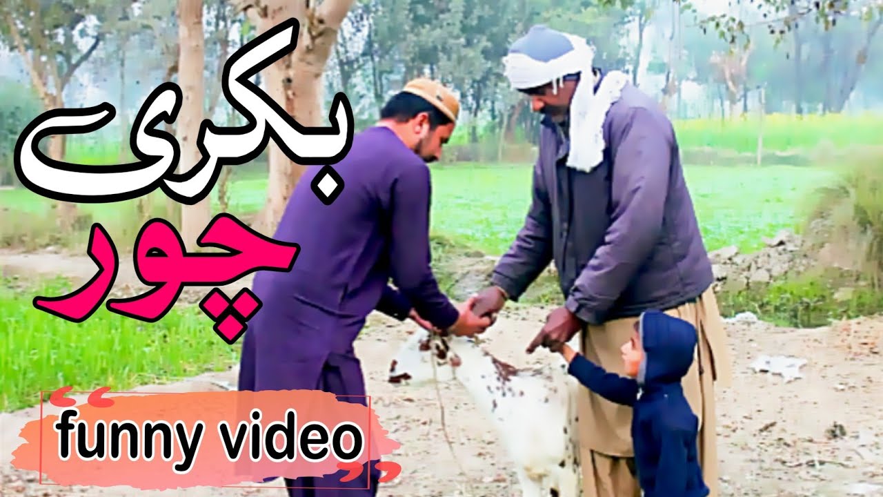 Sasti Bakri Bech Di 😂 | Bakri Wapas Le Gaya 😜 | Funny Comedy Video | Desi Mazahiya Video