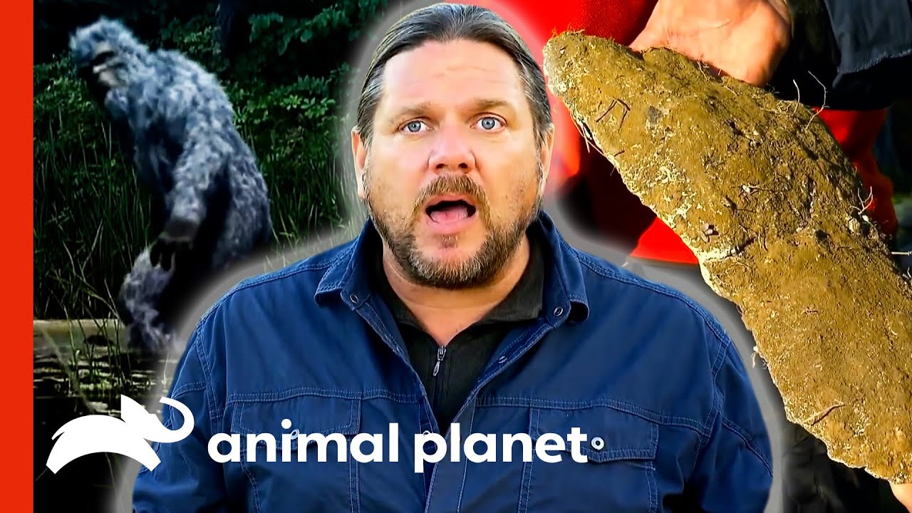 The Team's Most Compelling Evidence Of Bigfoot's Existence | Finding Bigfoot
