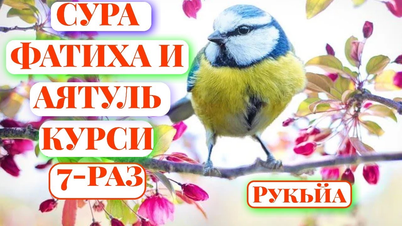 ЗАЩИТА ОТ СГЛАЗА/КАЖДОЕ УТРО