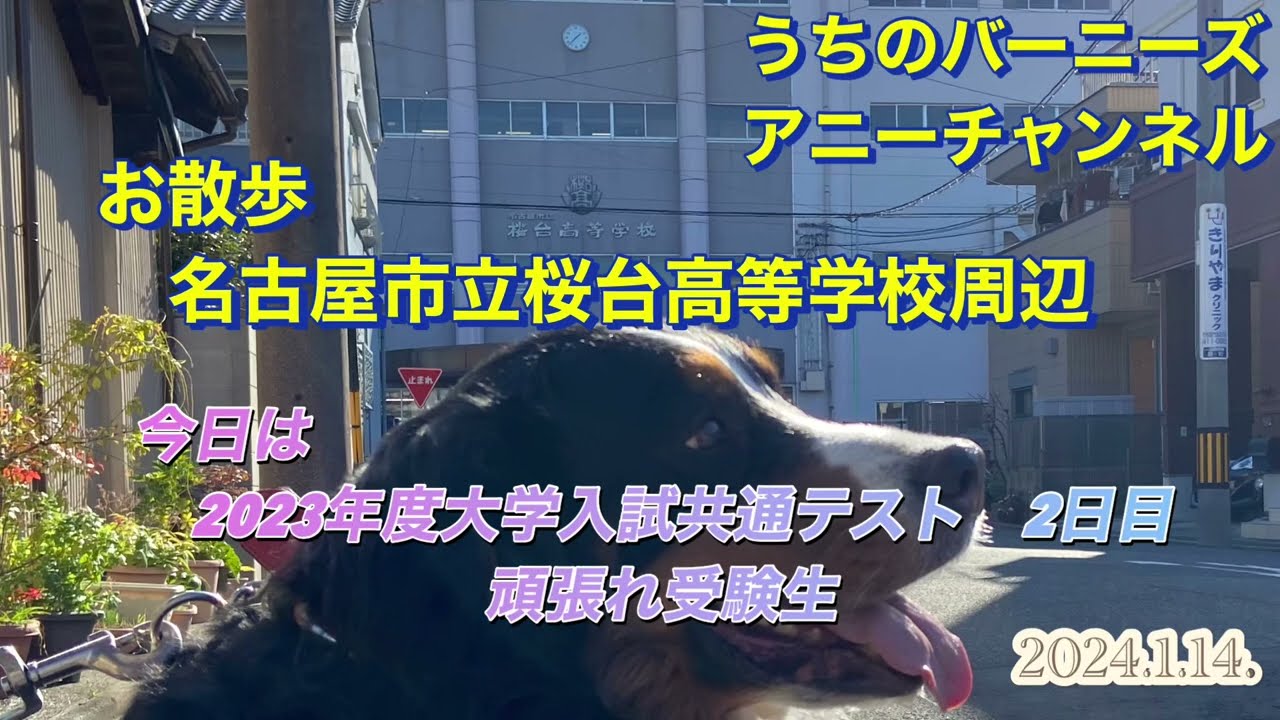 お散歩 名古屋市立桜台高等学校周辺 今日は2023年度大学入試共通テスト2日目 頑張れ受験生　2024.1.14.