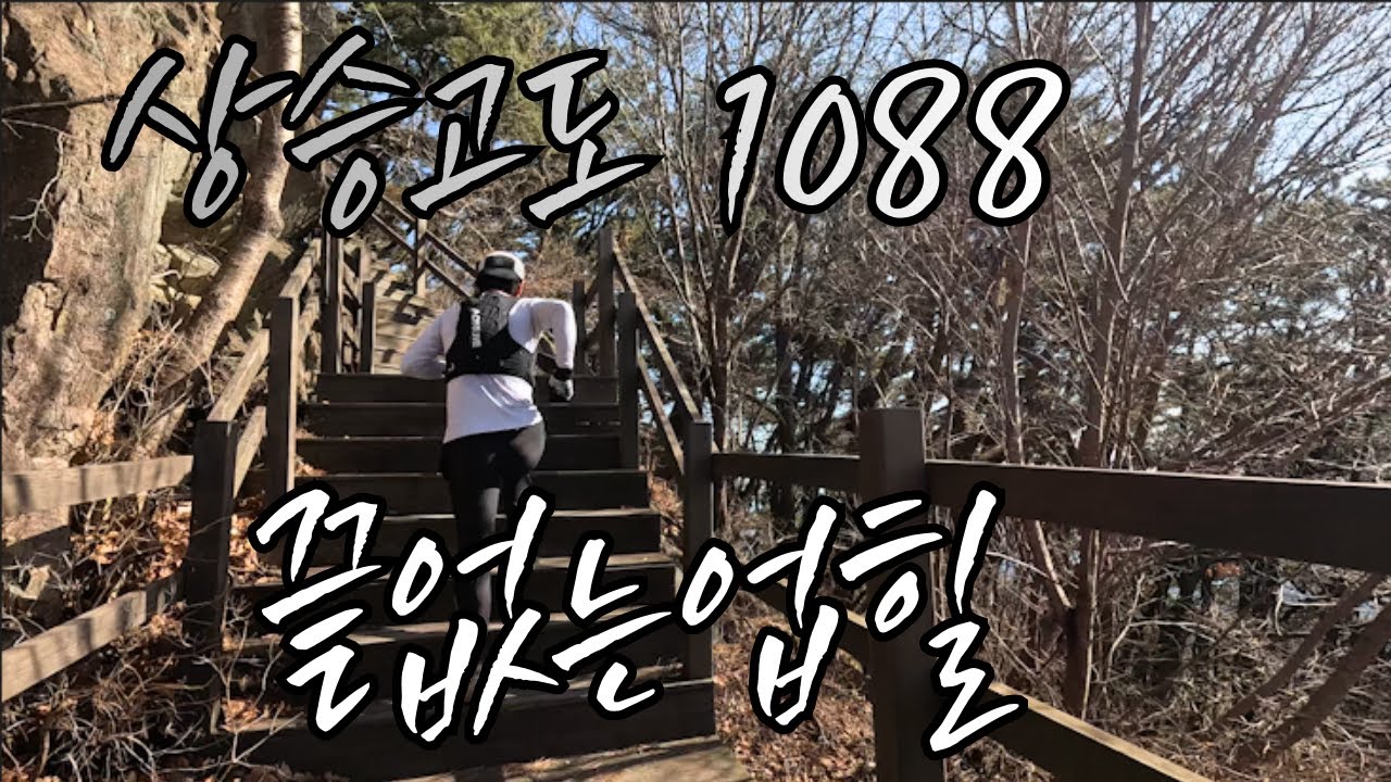 달리기 훈련의 꽃 