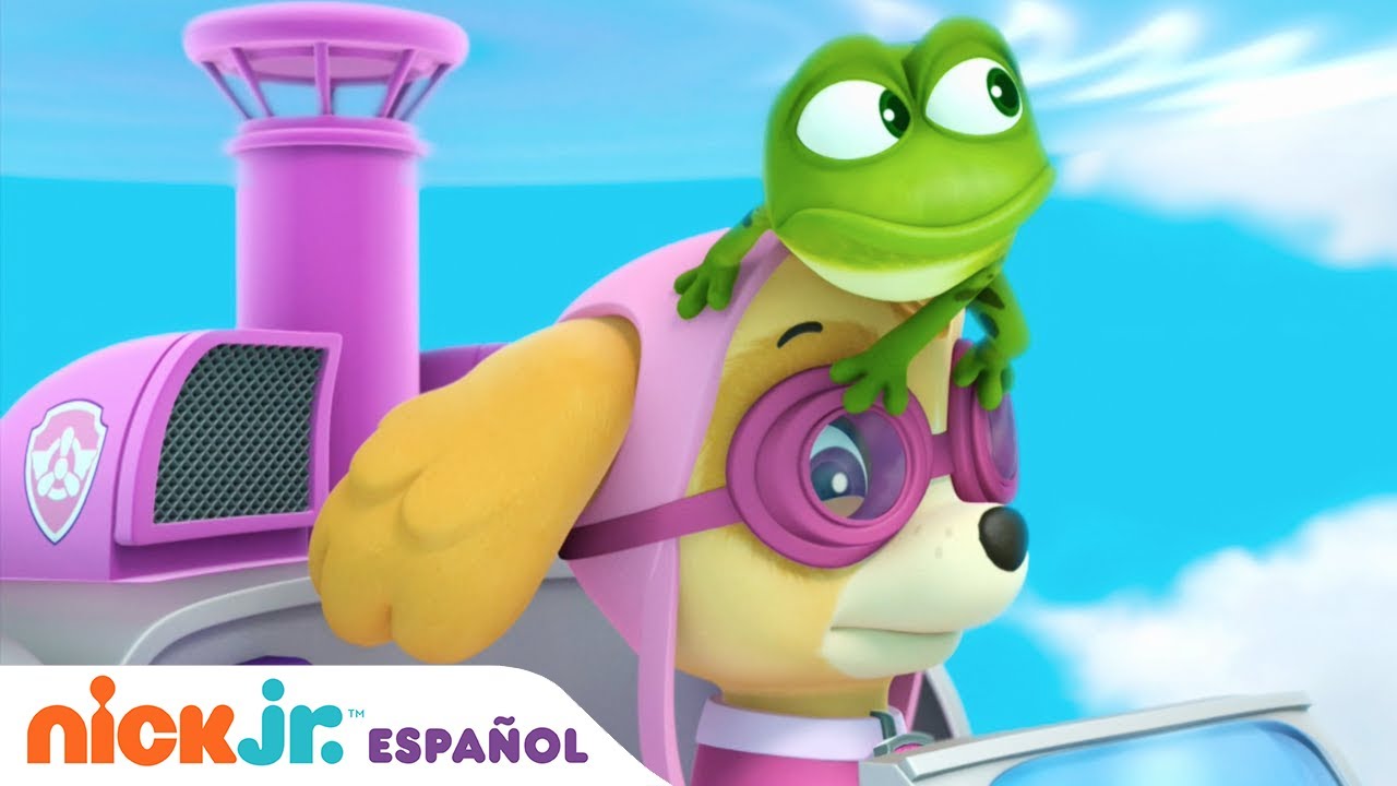 PAW Patrol, Patrulla de cachorros | Los cachorros salvan a la rana voladora 🐸 | Nick Jr. en Español