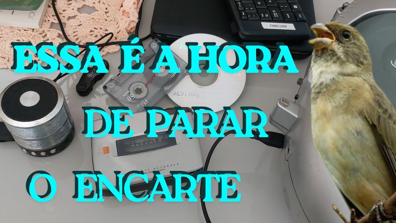 QUANDO PARAR DE TOCAR O ENCARTE