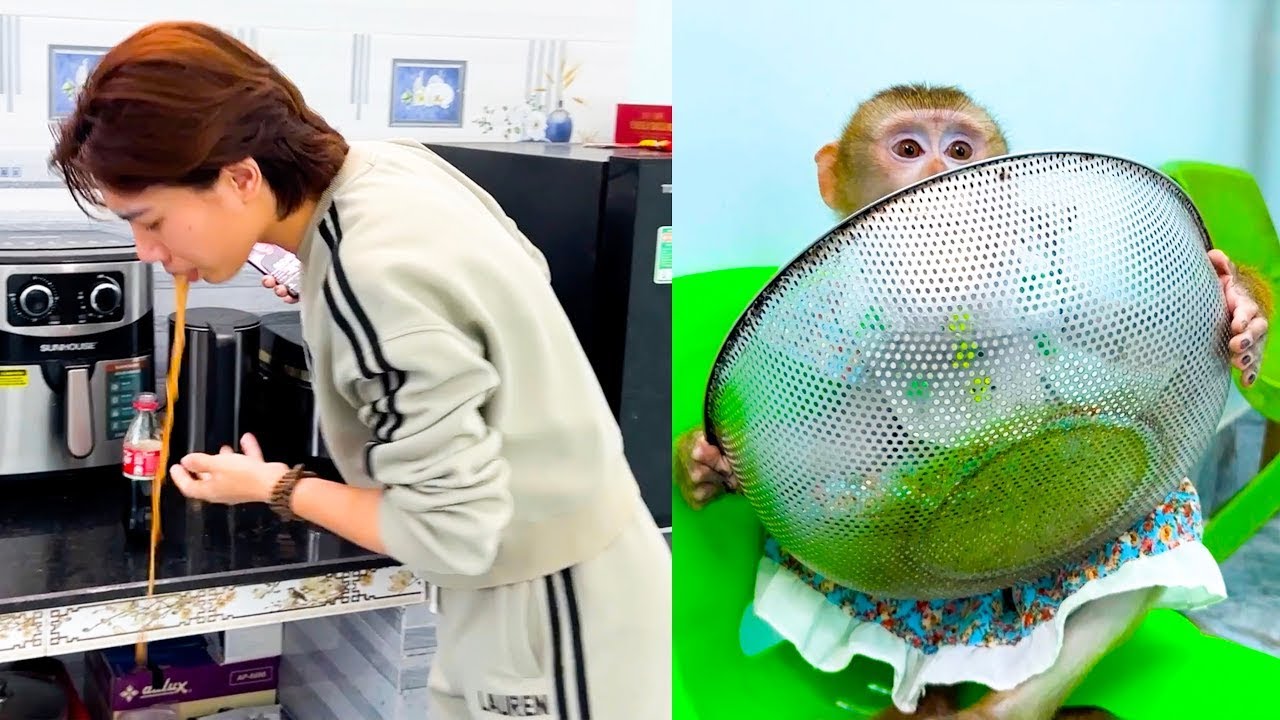 Monkey Kaka's prank made even Mom laugh.