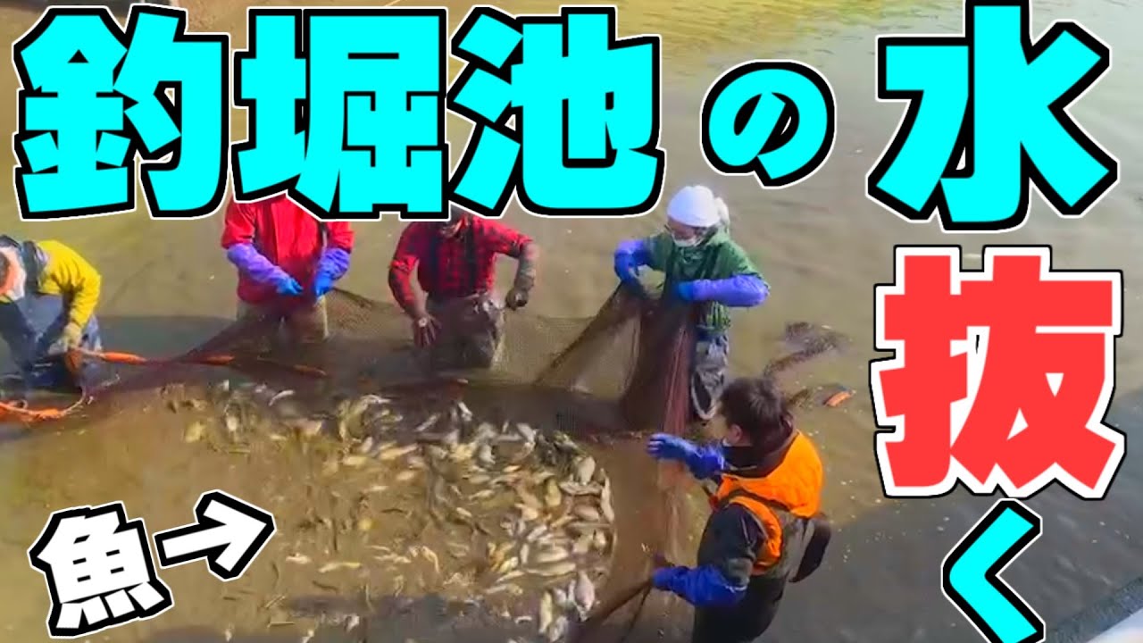 60年の老舗釣り堀の池の水ぜんぶ抜いてみた結果、やばすぎた！