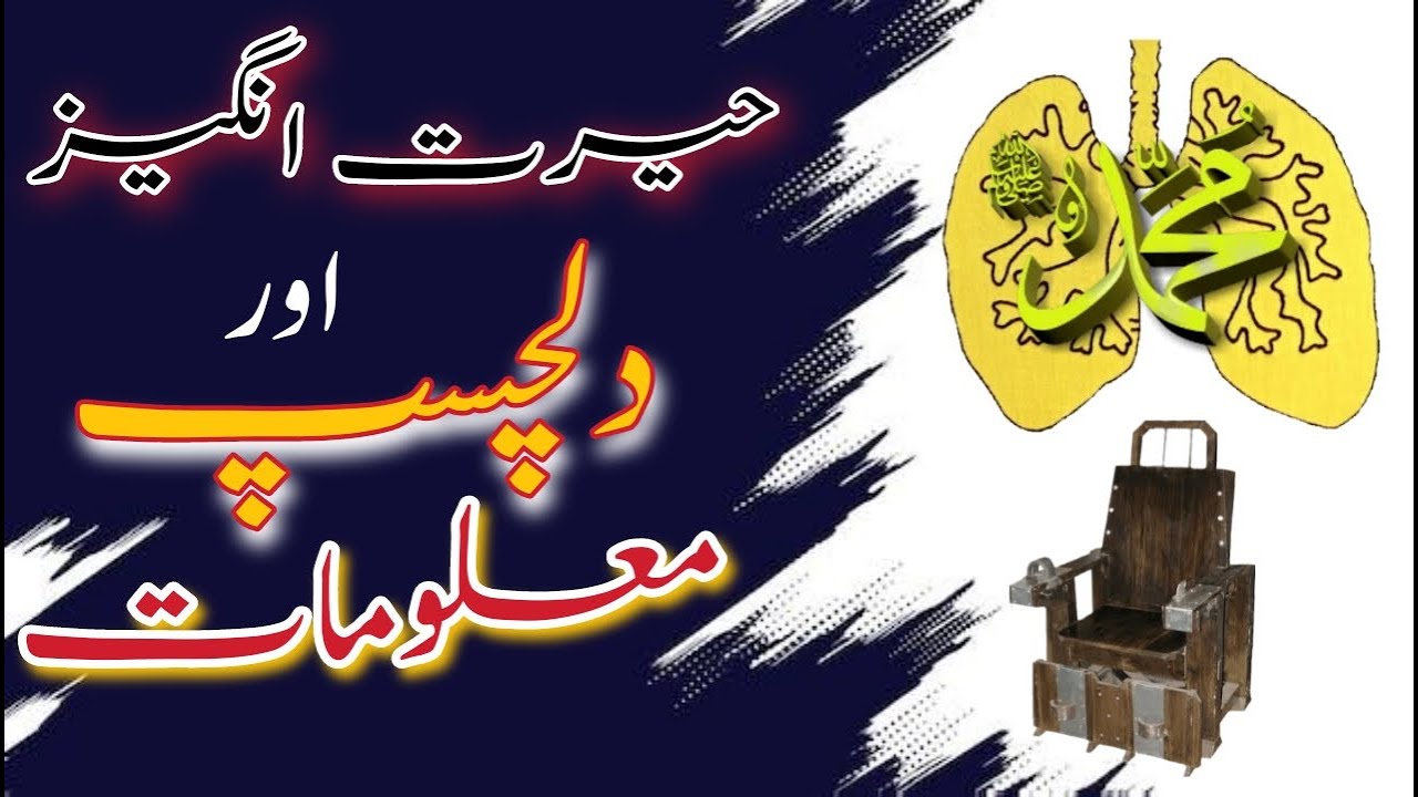 Herat angez aur dilchasp maloomat || interesting facts
