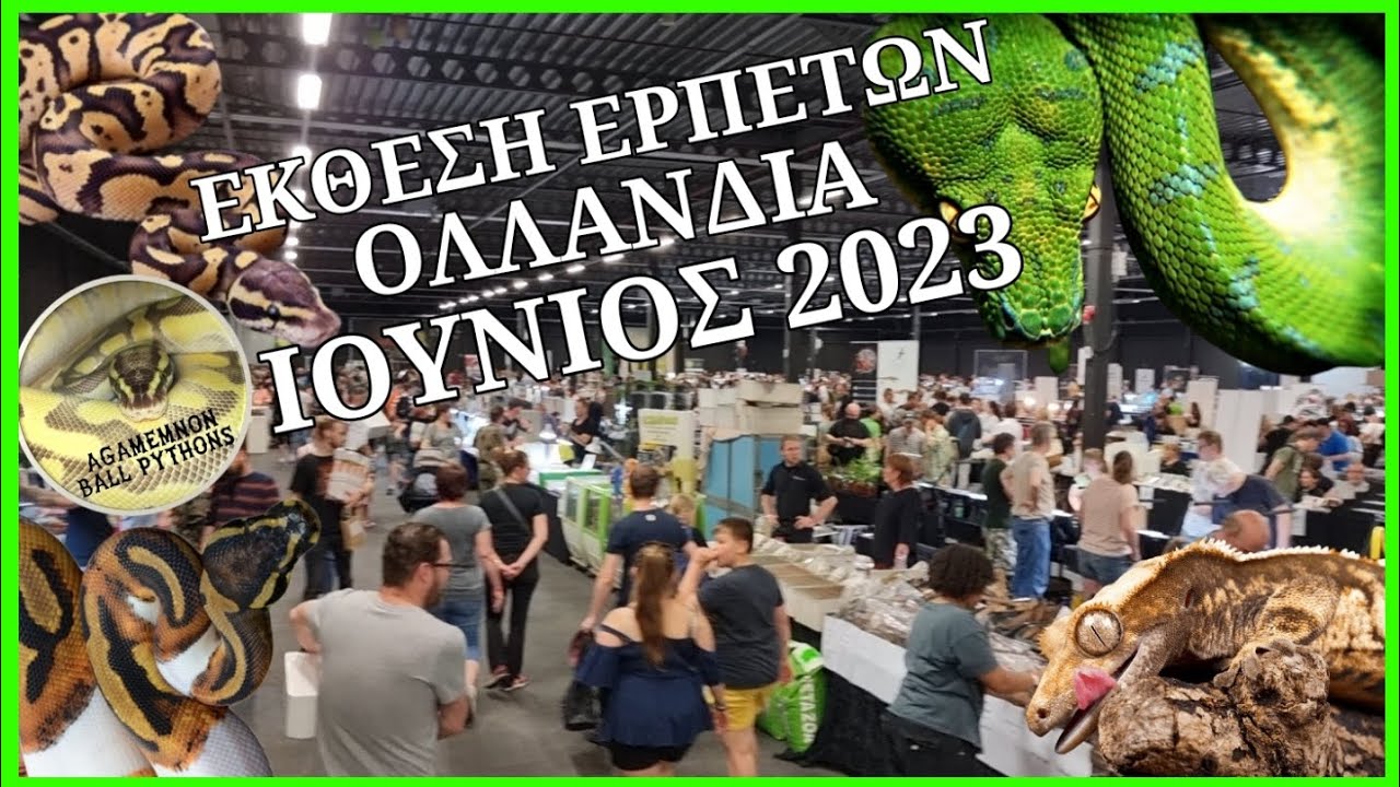 Έκθεση Ερπετών Houten Ολλανδία. Ιούνιος 2023!!