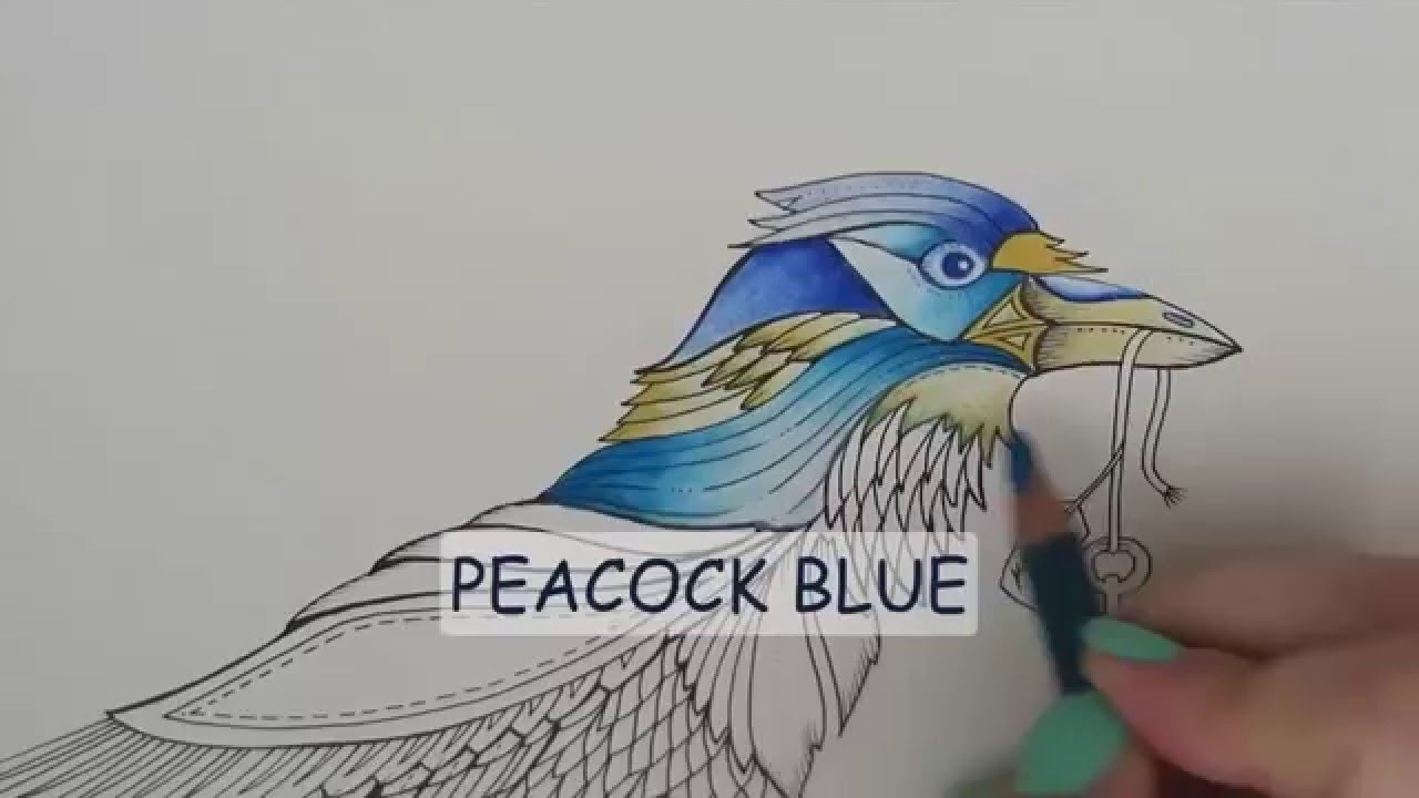 Enchanted Forest Coloring Book | The Bird | with color names
