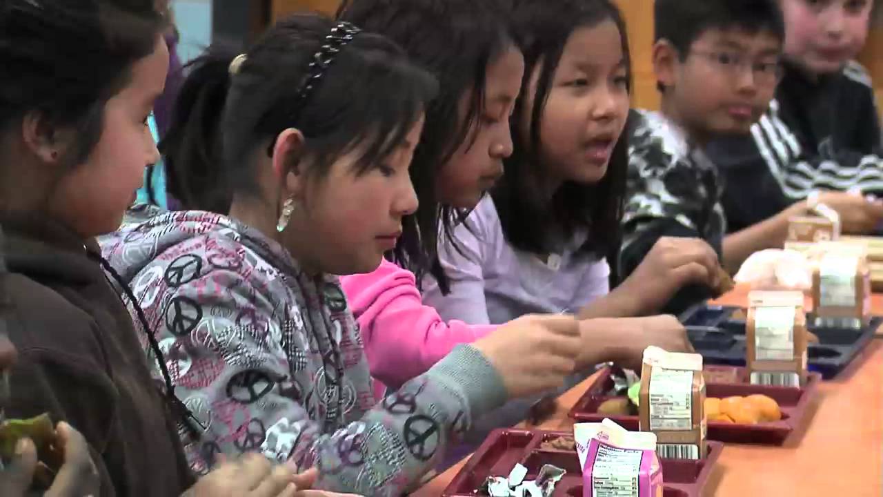 Recycling Milk Cartons to Reduce Waste
