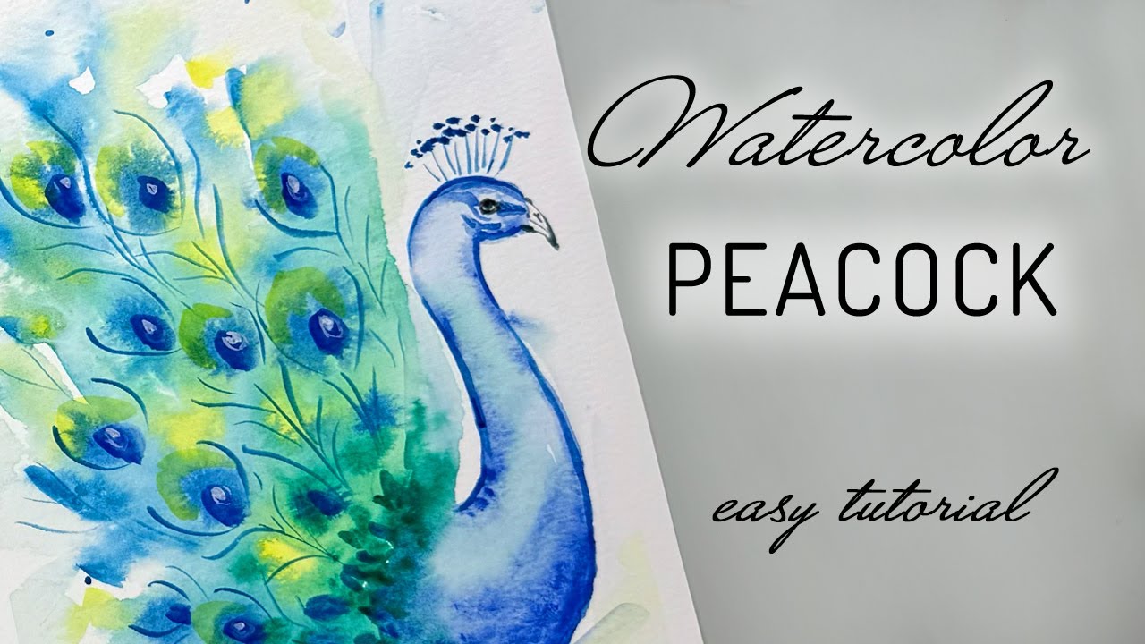 How to Paint a Peacock in Watercolor - Painting Tutorial