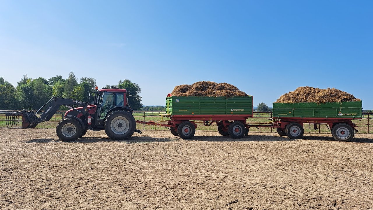 Wywóz obornika na pryzmę. Valtra A83, Quicke 240P, Autosan D-55, D-47.