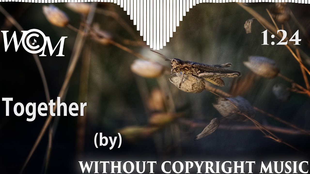 Together -Without Copyright Music - WCM- Ikson