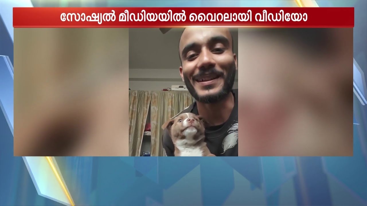 വാഹനങ്ങൾ ചീറിപ്പായുന്ന റോഡിന് നടുവിൽ പെട്ടുപോയ നയക്കുട്ടിക്ക് കരുതലുമായി ഡെലിവറി ബോയ്