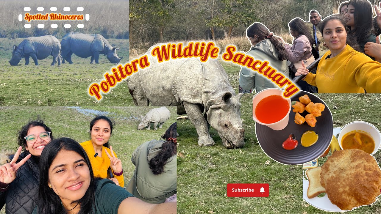 IIT Guwahati to Pobitora Wildlife Sanctuary | Spotted Rhinoceros🦏| Students and Faculties together 😳