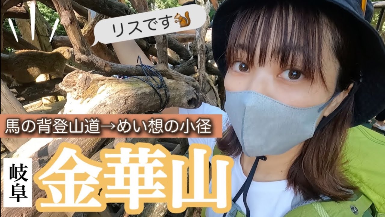 【岐阜-金華山】女子ソロ登山！公共交通で岐阜を観光しながら楽しんできました🎵