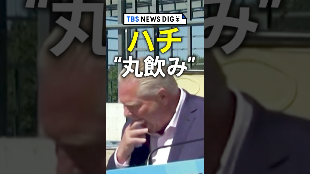 会見中にハチを&ldquo;丸飲み&rdquo;「伝説のハチハンター」も真っ青&hellip; #shorts | TBS NEWS DIG