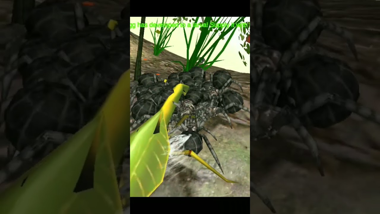 amazing Spider 😯😯🕷️ spider colony simulation#shorts