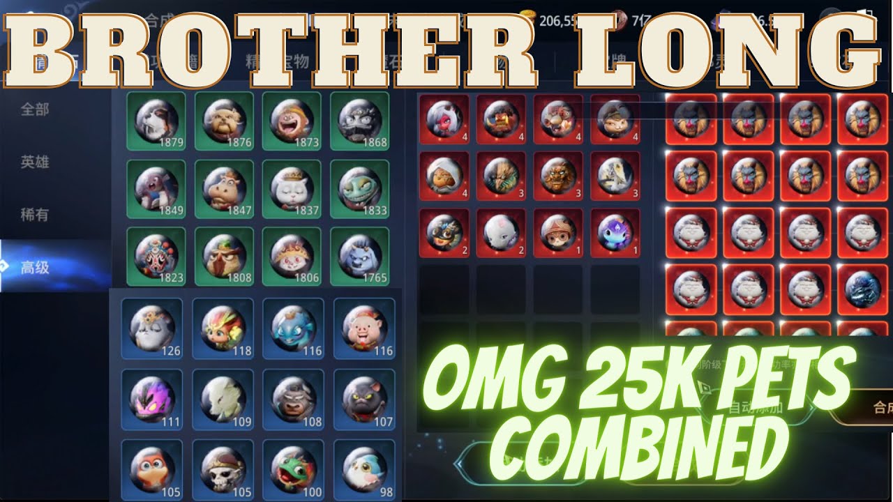 MIR4 BROTHERLONG COMBINED 25,000 PETS! LEGEND PET? #mir4 #mir4global #BROTHERLONG