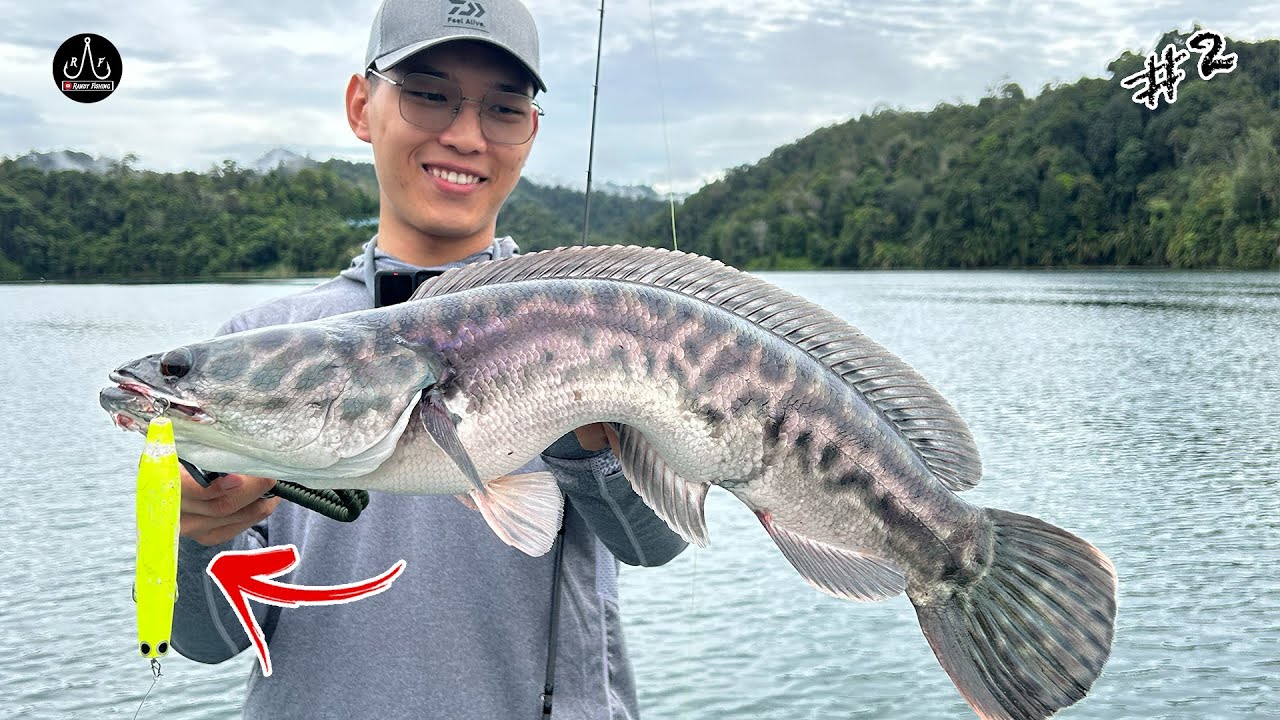 TOMAN ON TOPWATER !! [ BATANG AI DAY2 ] | EP126
