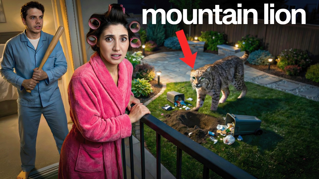 We Found a Real Mountain Lion in our New House!