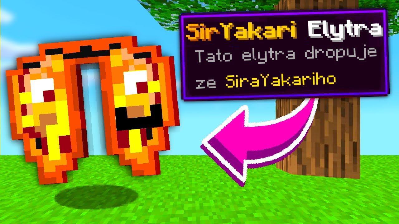 Minecraft, kdyby ELYTRY byly BOŽÍ...