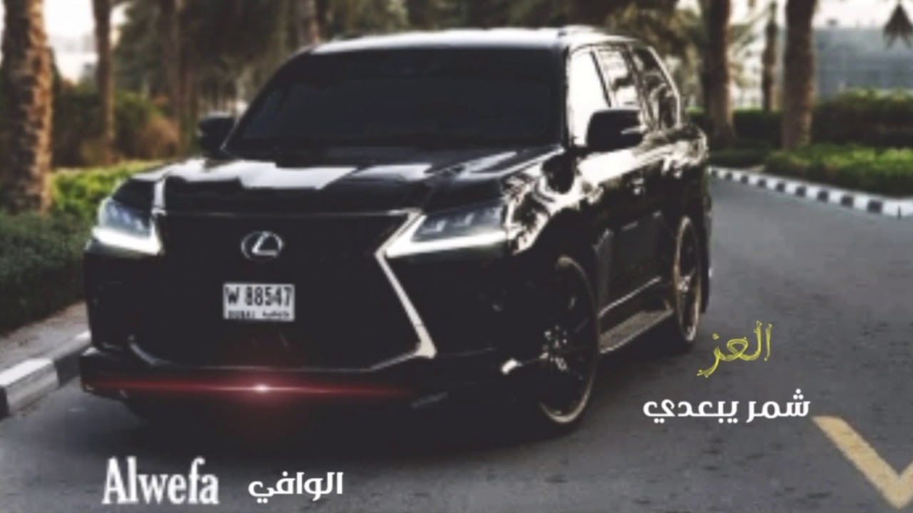 شيله مطلوبه -الكايده شمر لها  |جديد (بطئ) 2020